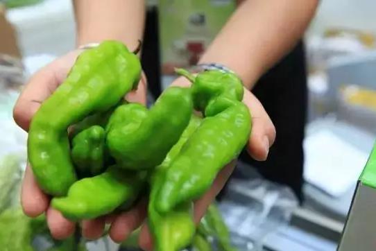 雙十一狂歡下，有機農產品能否依然“好酒不怕巷子深”？
