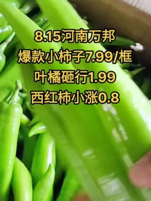 農(nóng)產(chǎn)品市場行情持續(xù)低迷，水果蔬菜優(yōu)質(zhì)產(chǎn)品如何破局？
