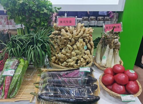 濟南農產品驚艷亮相綠博會，綠色品牌彰顯農業新活力